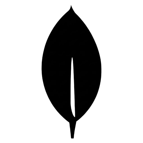 mongodb